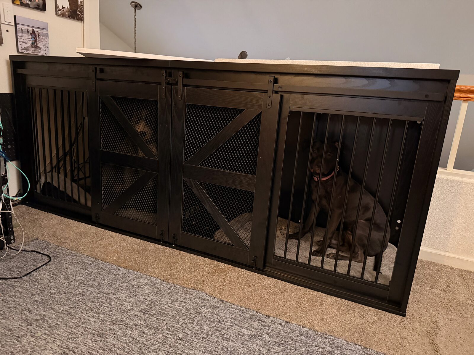 The finished barn-door style duplex kennel with both dogs inside
